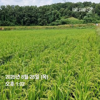 송석래님의 작성글 사진