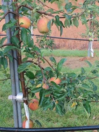 숲속의사나이님의 자유주제 · 자유게시판 작성글 사진