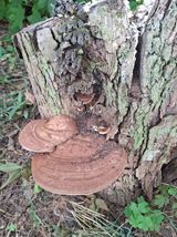 팜모닝 자유주제·자유게시판 게시글 이미지