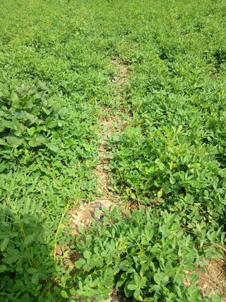 전국하님의 자유주제 · 자유게시판 작성글 사진