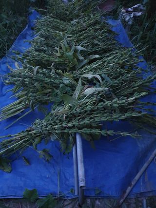 김양석님의 자유주제 · 자유게시판 작성글 사진