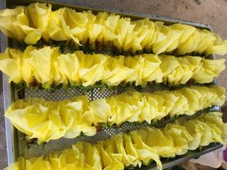 박운규.털보님의 자유주제 · 자유게시판 작성글 사진