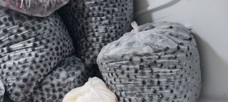 아로대추님의 작성글 사진