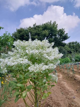 아산이쁘니95960님의 자유주제 · 자유게시판 작성글 사진