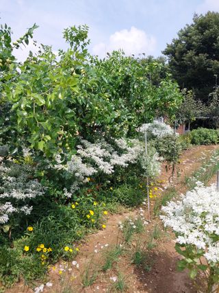 아산이쁘니95960님의 자유주제 · 자유게시판 작성글 사진