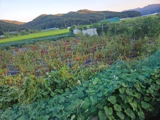 정재남님의 자유주제 · 자유게시판 작성글 사진