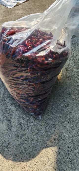 배순녀님의 작성글 사진