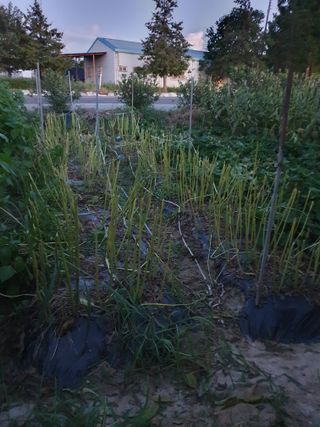 김양석님의 자유주제 · 자유게시판 작성글 사진