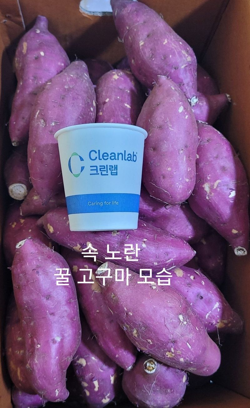 사랑꽃농장님의 장터 판매 상품 [반반 꿀 고구마 10kg(하루까+호풍미)] 첨부 사진