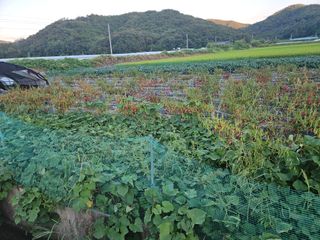 정재남님의 자유주제 · 자유게시판 작성글 사진