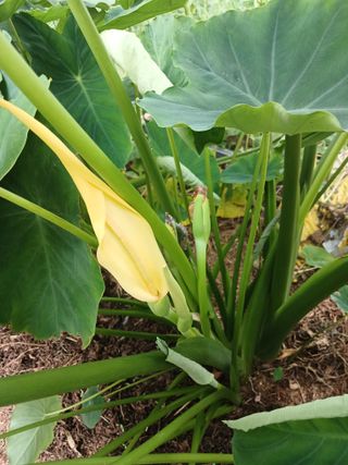 전국하님의 자유주제 · 자유게시판 작성글 사진