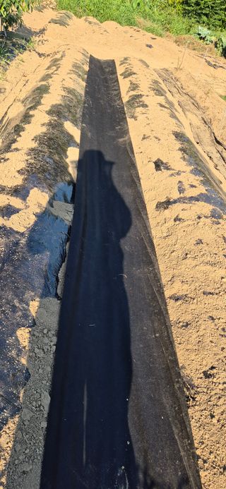 봉림동 태진농장님의 자유주제 · 자유게시판 작성글 사진