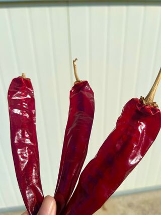 대풍기원님의 자유주제 · 자유게시판 작성글 사진