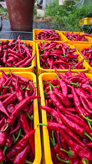 이종열님의 자유주제 · 자유게시판 작성글 사진