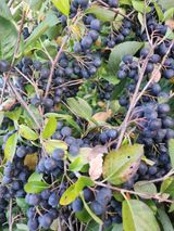 팜모닝 자유주제·자유게시판 게시글 이미지