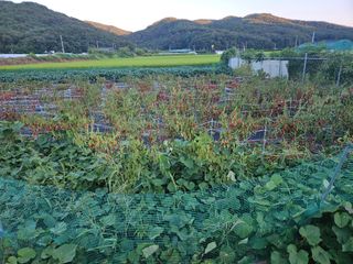 정재남님의 자유주제 · 자유게시판 작성글 사진