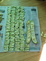 팜모닝 자유주제·자유게시판 게시글 이미지