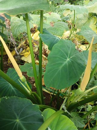 전국하님의 자유주제 · 자유게시판 작성글 사진