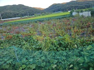 정재남님의 자유주제 · 자유게시판 작성글 사진