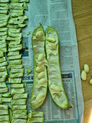 김경일 님의 자유주제 · 자유게시판 작성글 사진