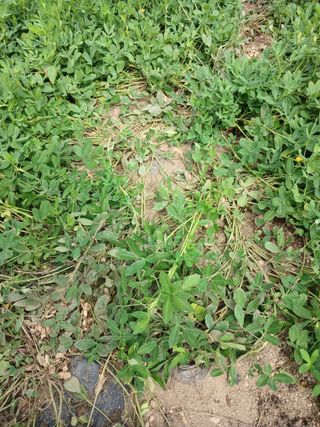 전국하님의 자유주제 · 자유게시판 작성글 사진