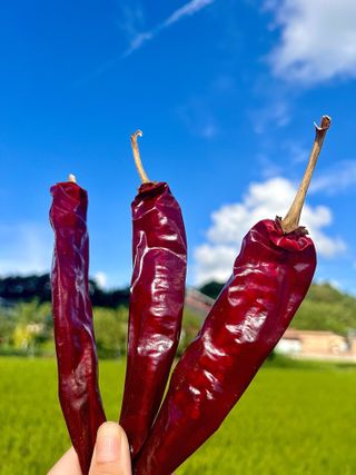 대풍기원님의 자유주제 · 자유게시판 작성글 사진