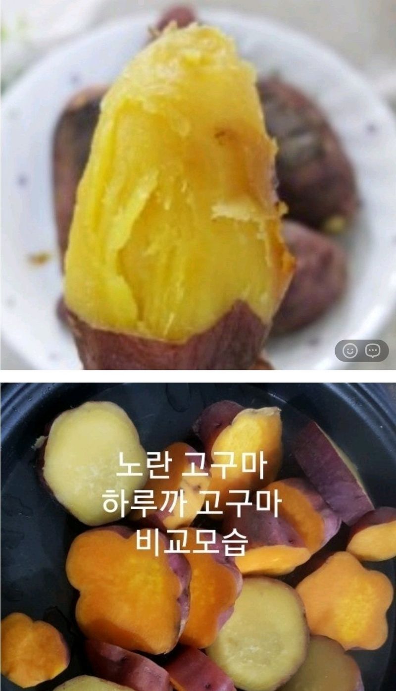 사랑꽃농장님의 장터 판매 상품 [반반 꿀 고구마 10kg(하루까+호풍미)] 첨부 사진