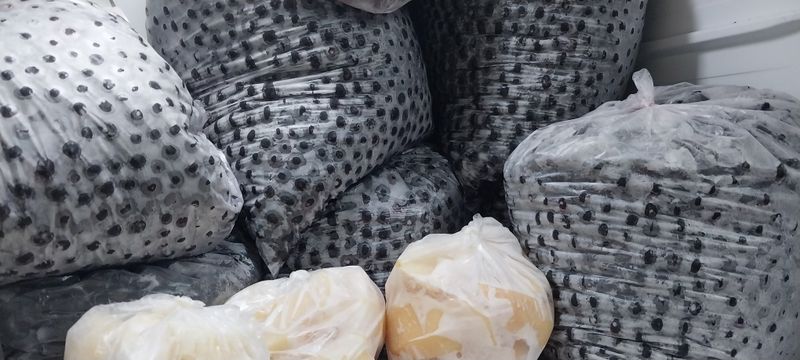 장터 상품 [(판매완료)꼭지 제거 냉동 아로니아  10키로 판매합니다] 썸네일