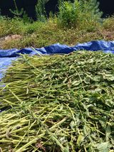 팜모닝 자유주제·자유게시판 게시글 이미지