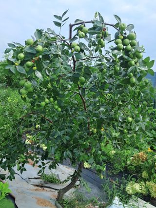 전희분님의 자유주제 · 자유게시판 작성글 사진