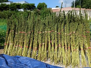 권태징님의 자유주제 · 자유게시판 작성글 사진