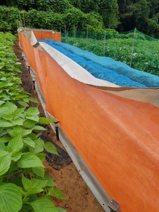 김건호님의 자유주제 · 자유게시판 작성글 사진