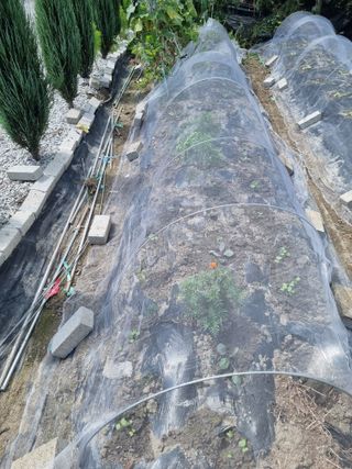 연산나무농장님의 자유주제 · 자유게시판 작성글 사진