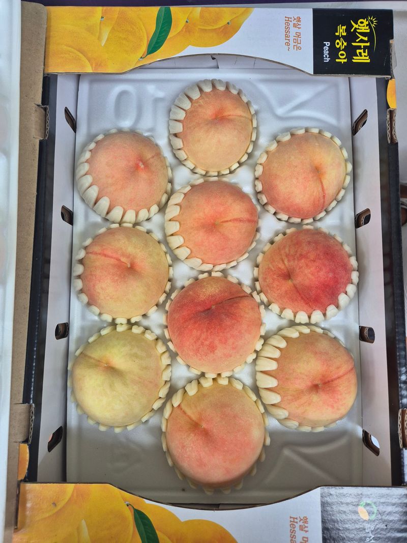 장터 상품 [음성 햇사레 복숭아 천중도 4kg 12과] 썸네일