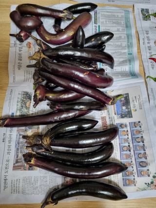 김경일 님의 자유주제 · 자유게시판 작성글 사진