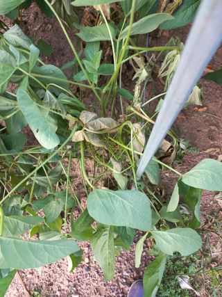 심무재 님의 자유주제 · 자유게시판 작성글 사진