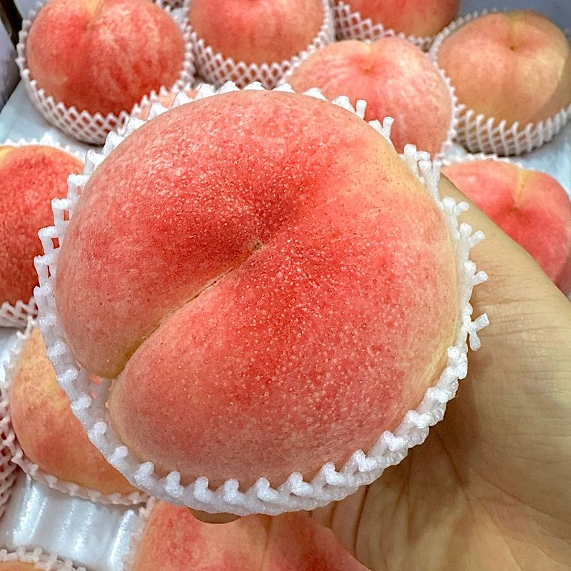 농부손녀님의 장터 판매 상품 [[고당도] 꿀먹은 백도 복숭아 4kg] 첨부 사진