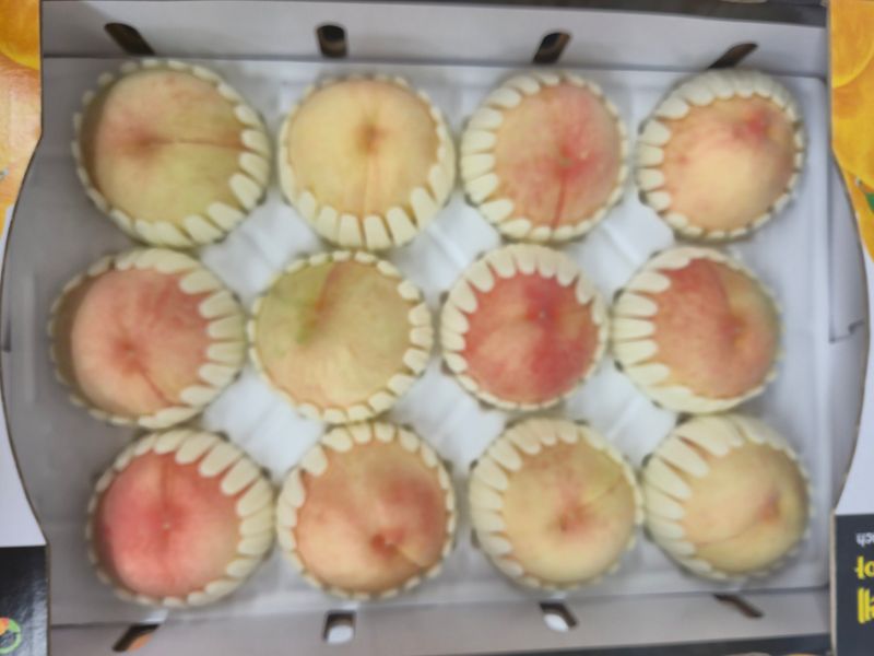 김현옥님의 장터 판매 상품 [음성 햇사레 복숭아 천중도 4kg 12과] 첨부 사진