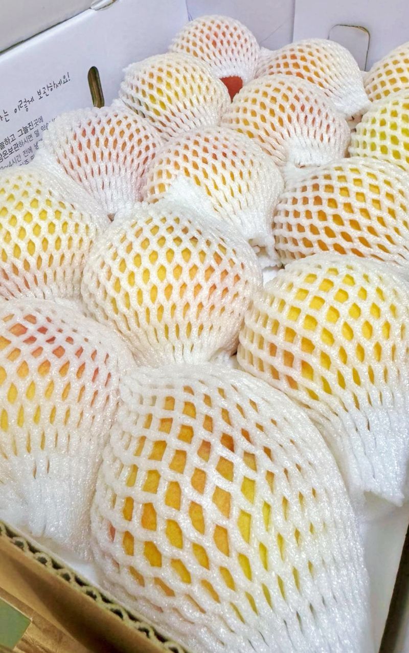 농부손녀님의 장터 판매 상품 [[고당도] 꿀먹은 백도 복숭아 4kg] 첨부 사진