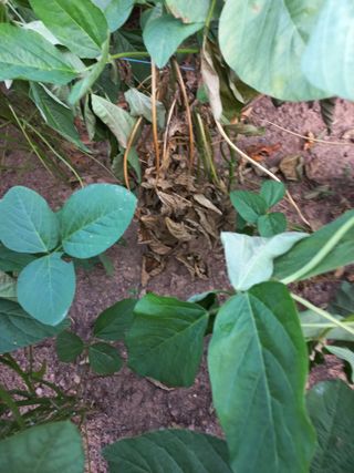 심무재 님의 자유주제 · 자유게시판 작성글 사진