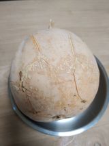 팜모닝 자유주제·자유게시판 게시글 이미지