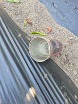 팜모닝 자유주제·자유게시판 게시글 이미지