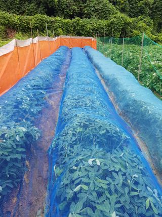 김건호님의 자유주제 · 자유게시판 작성글 사진