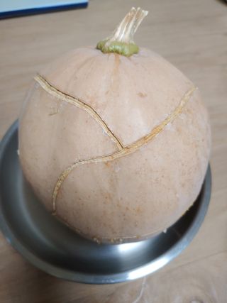 김광섭님의 자유주제 · 자유게시판 작성글 사진