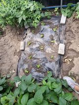 팜모닝 자유주제·자유게시판 게시글 이미지