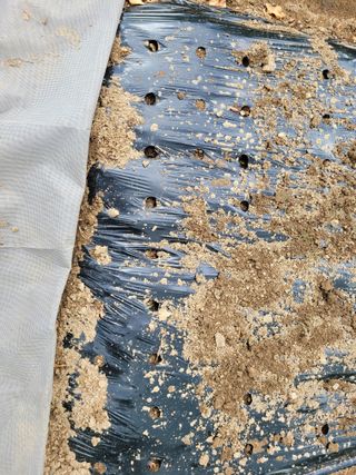 땅땅님의 자유주제 · 자유게시판 작성글 사진