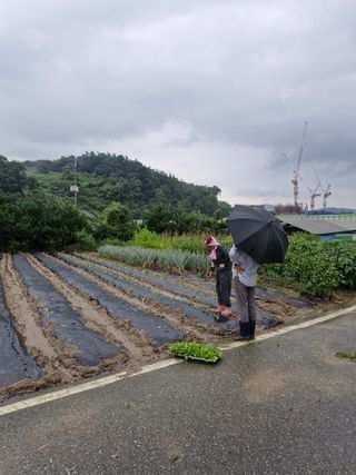 마늘16716님의 자유주제 · 자유게시판 작성글 사진