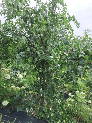 전희분님의 자유주제 · 자유게시판 작성글 사진