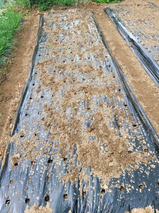 땅땅님의 자유주제 · 자유게시판 작성글 사진