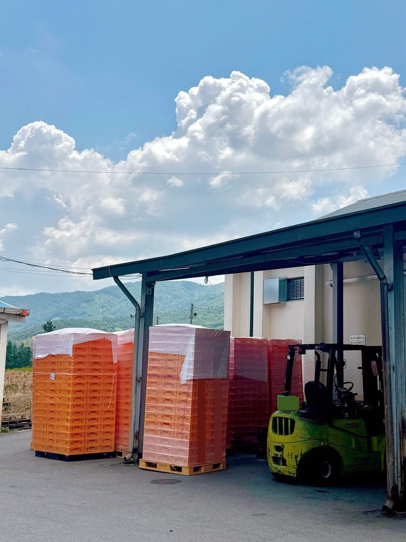 농부손녀님의 장터 판매 상품 [[고당도] 꿀먹은 백도 복숭아 4kg] 첨부 사진